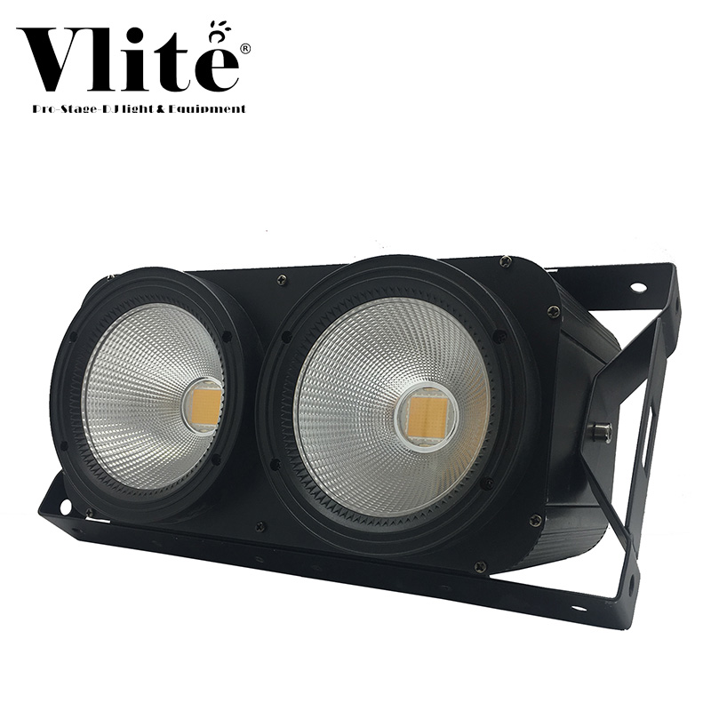 2 X 100W 雙燈眼 LED 閃光燈